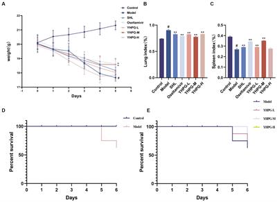 Therapeutic effect of Yinhuapinggan granules mediated through the intestinal flora in mice infected with the H1N1 influenza virus